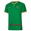 Virallinen Fanipaita Palmeiras Copa Rio 70th Vuosipäivä Kotipelipaita 2021-22 - Miesten